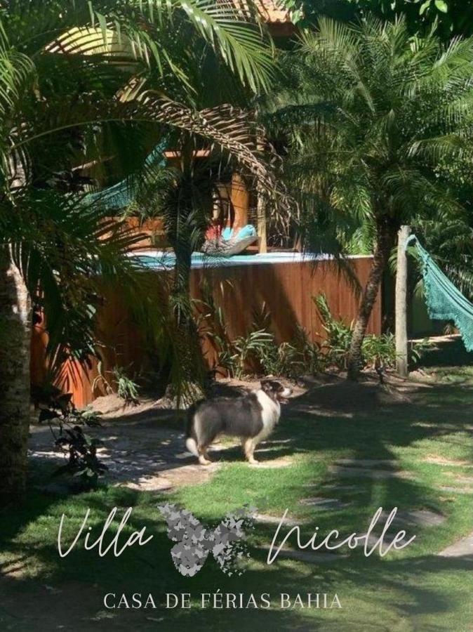 Villa Nicolle - Bahia - Praia Do Espelho Dış mekan fotoğraf